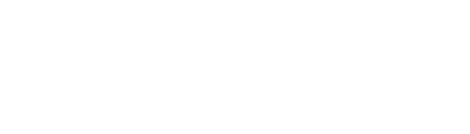 logo-voolora